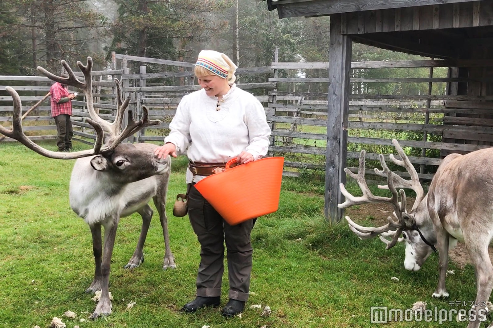 可愛いトナカイたちがお出迎え （C）モデルプレス
