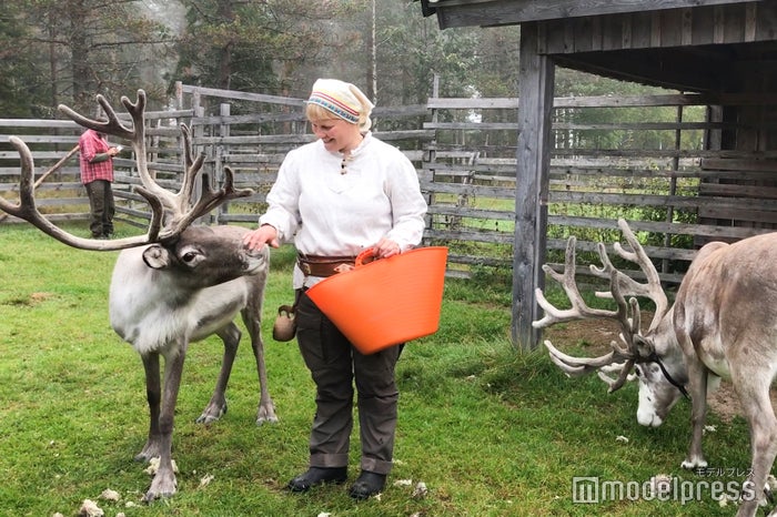 可愛いトナカイたちがお出迎え （C）ビューティーガール