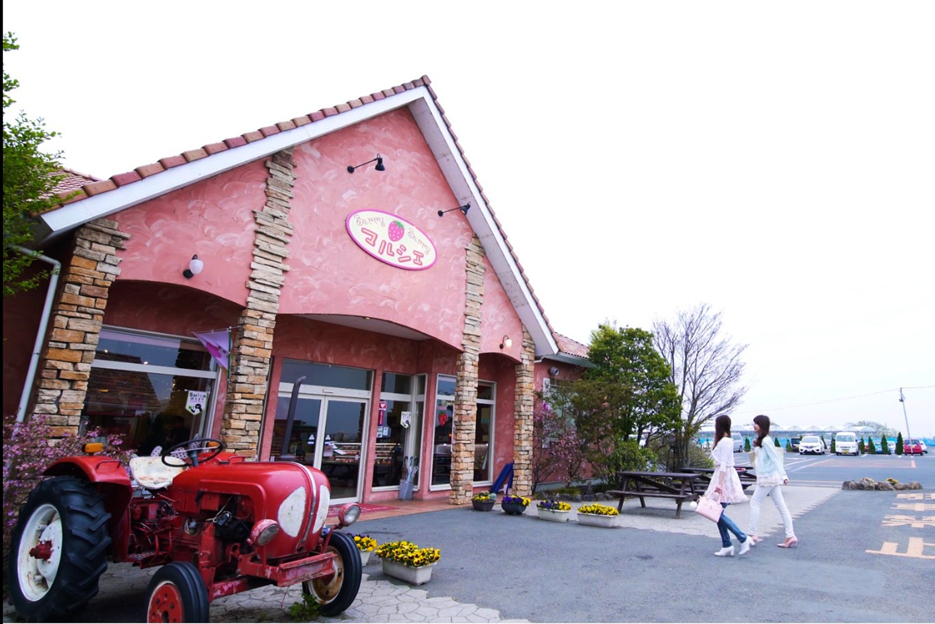 まずはいちご狩りを満喫／小山市