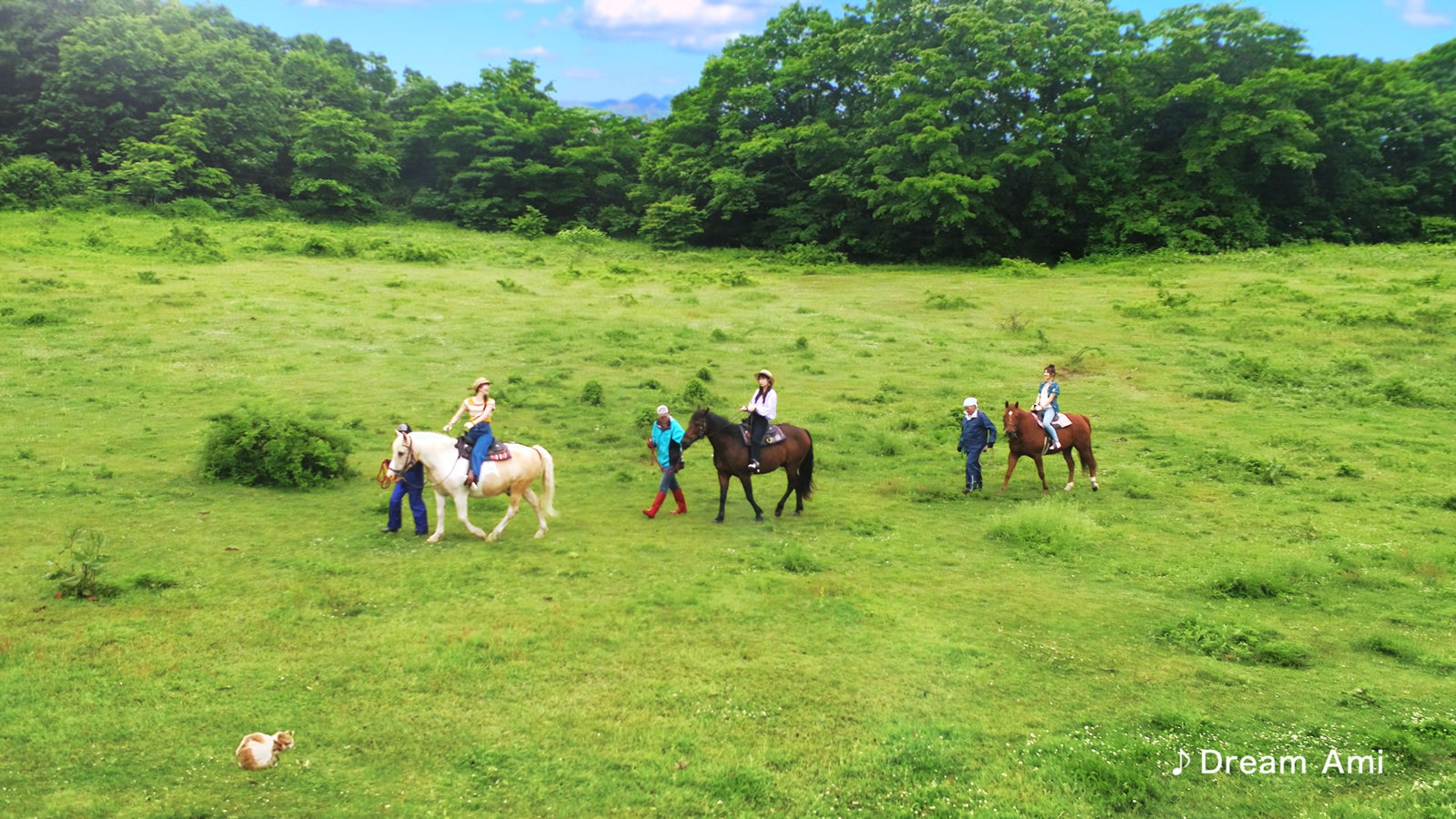 CMカット（提供写真）