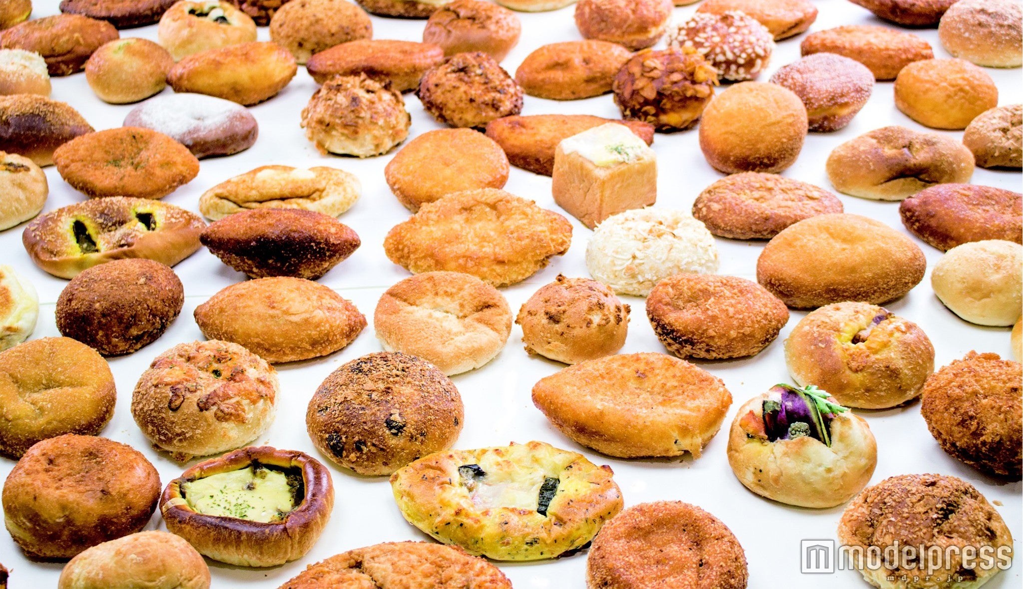 カレーパン博覧会2016イメージ／画像提供：日本カレーパン協会