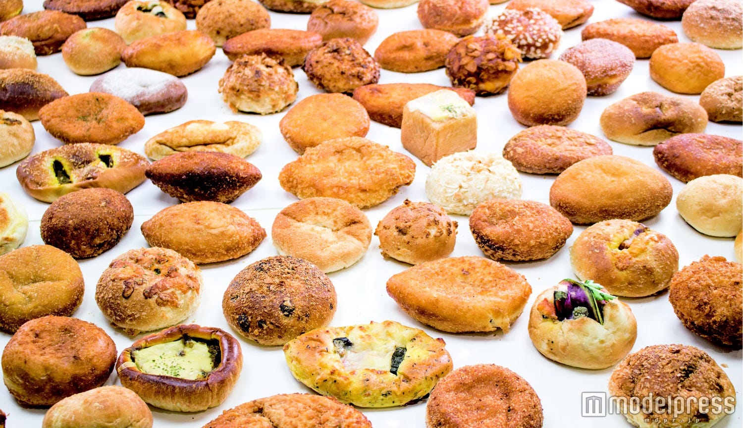 世界最大級「カレーパン博覧会」に100種類超のカレーパンが大集合