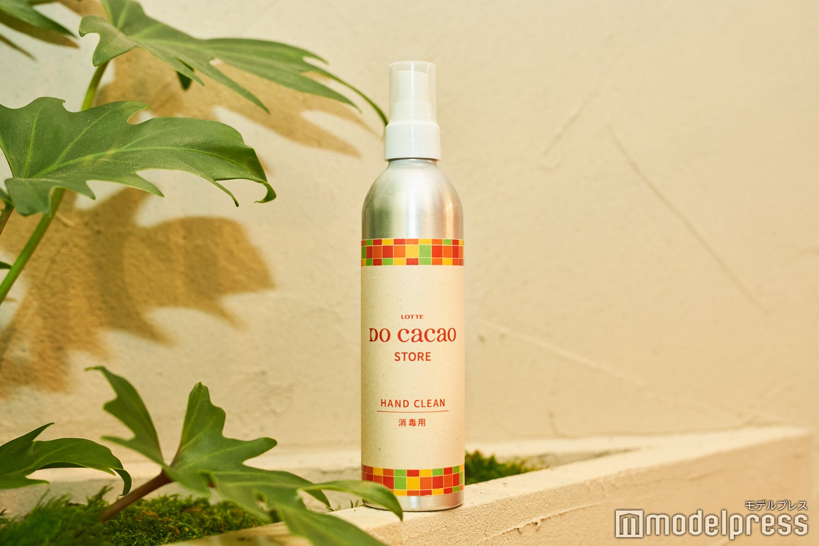 入り口にはカカオハスクを有効活用したアルコールスプレーが（C）モデルプレス
