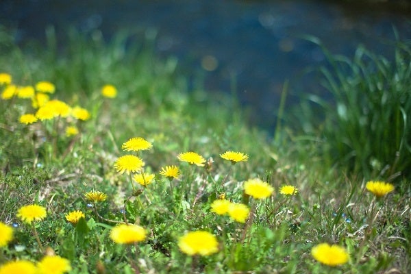 12星座別に方位で運気を高める ロケーショナル風水 天秤座編 モデルプレス
