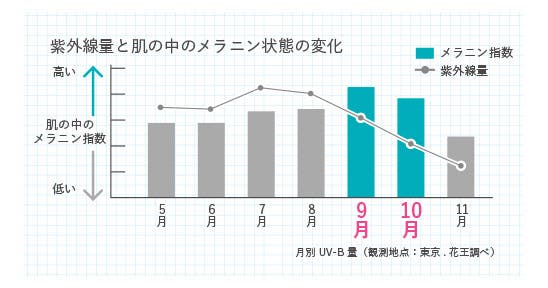 2009年データより