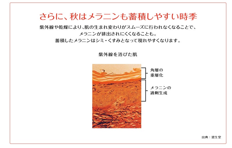 秋はメラニンを蓄積しやすい時期