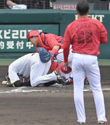 広島・高太一 死球で骨折の阪神・近本に謝罪 「申し訳ないです」関係者を通じて本人に伝える