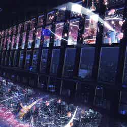 東京タワーの夜景に桜吹雪が舞う!3Dマッピングイベントが夜桜バージョンに/画像提供:東京タワー