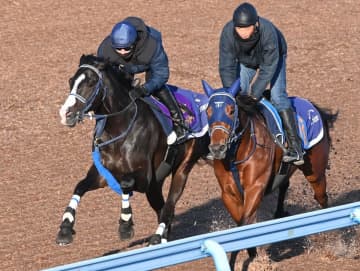 ドバイ遠征を取りやめ大阪杯へ目標切り替えたマスカレードボールが美浦Wで追い切り