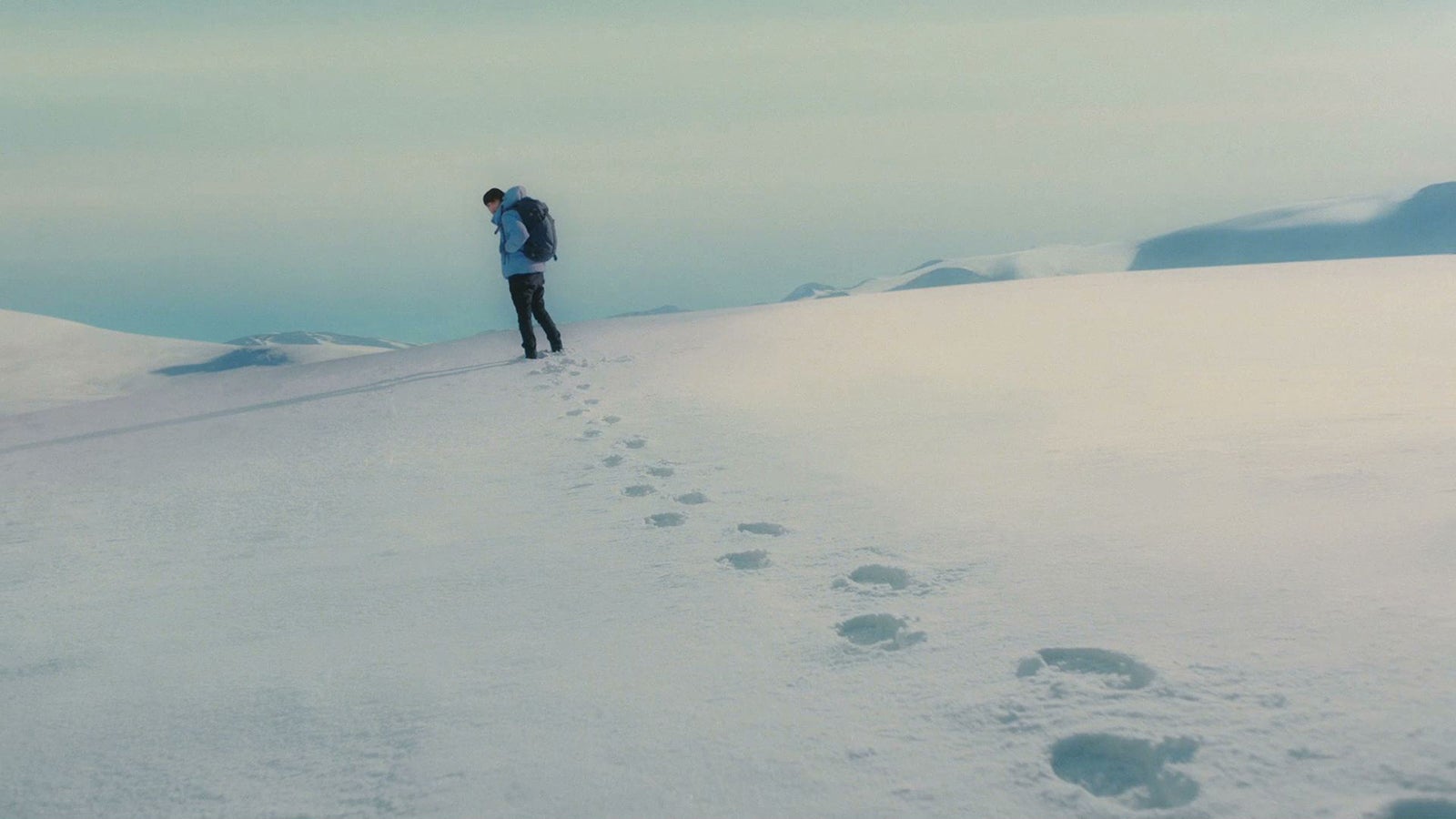 吉沢亮／新CMより（提供写真）