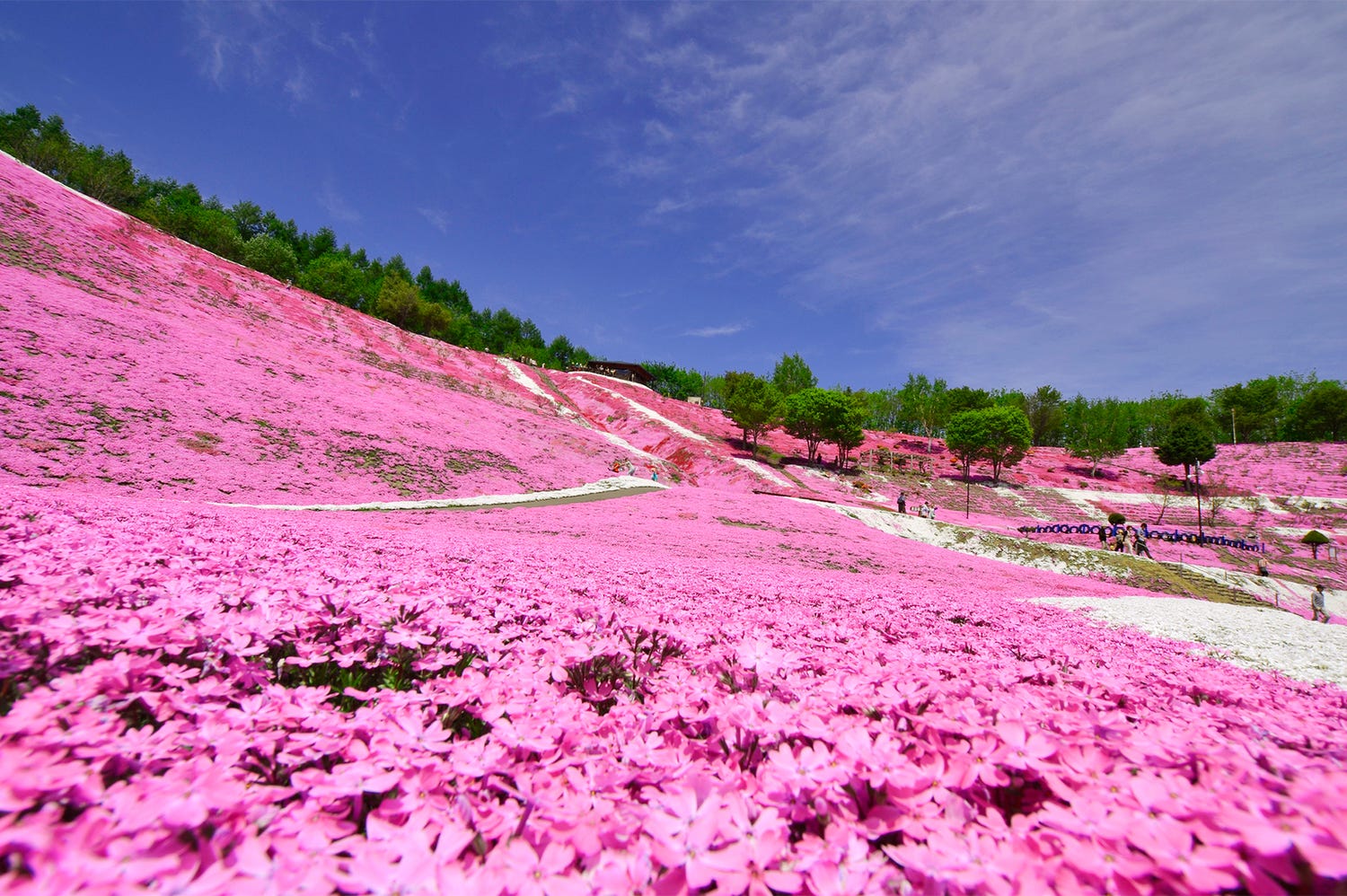 連休の旅行もお得に!知らなきゃ損な国内旅行の予約テク