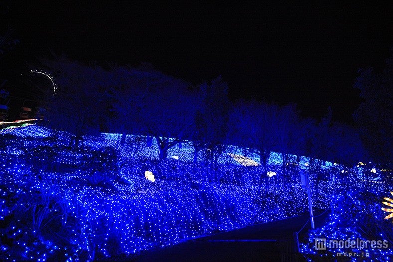 「さがみ湖イルミリオン」／画像提供：富士急行