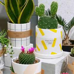 もっとおしゃれに植物を飾るには?今注目のアイテムはコレ!
