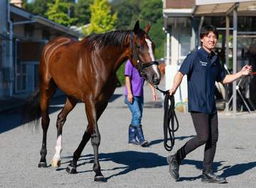 【アイルランドT】カムニャック 逆襲の秋へ始動 1年ぶり勝利へ着々 安田助手「馬体も張りあっていい状態」