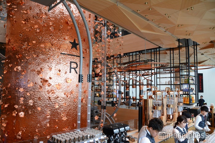 スターバックス リザーブ ロースタリー東京（C）ビューティーガール