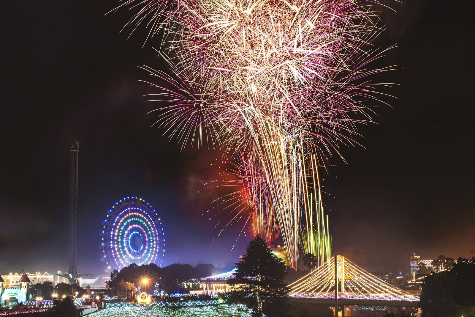 花火ファンタジア ～奇跡のオーロラショー×花火ファンタジア～（提供写真）