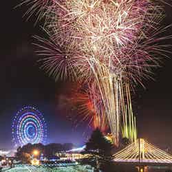 花火ファンタジア ~奇跡のオーロラショー×花火ファンタジア~(提供写真)