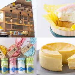 熱海ミルチーズ/画像提供:フジノネ