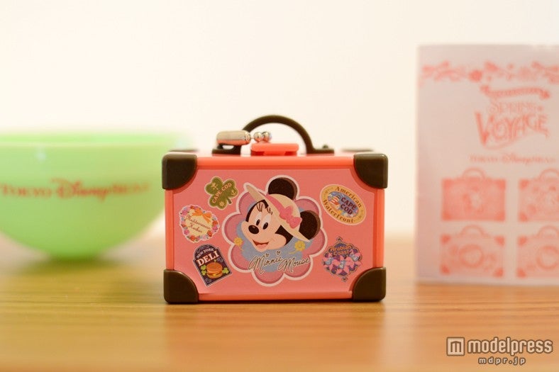 中には、小さなトランクと説明書