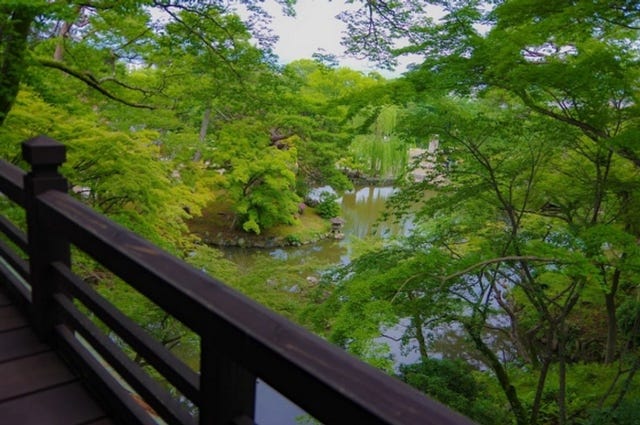 【京都】お団子を自分で焼いて味わえる♡