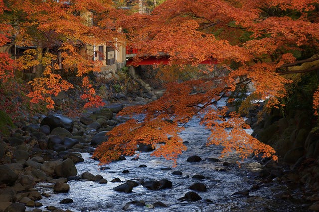 「逃げ恥」で注目度上昇中!伊豆“修善寺温泉”のおすすめ旅館6選