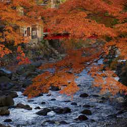 「逃げ恥」で注目度上昇中!伊豆“修善寺温泉”のおすすめ旅館6選/DSC07192 by ume-y