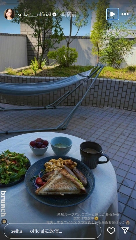 せいせいInstagramストーリーズより