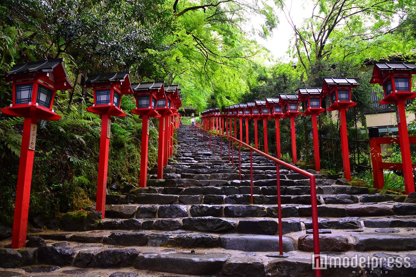 京都旅行は初夏が狙い目！桜や紅葉に負けない新絶景“青もみじ”の名所巡り（C）モデルプレス