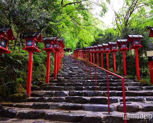 京都の雪の日限定ライトアップが「幻想的」だと話題に