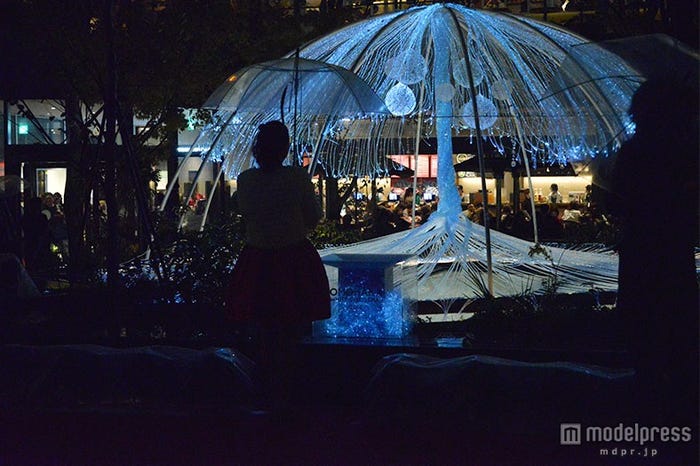 イルミネーションの様子