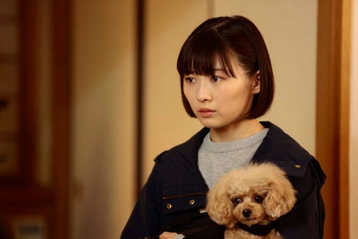 伊藤沙莉「シッコウ!!~犬と私と執行官~」第5話より(C)テレビ朝日