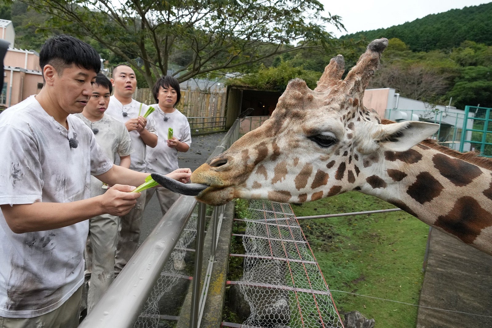 長田庄平、せいや、岡部大、松尾駿（C）フジテレビ