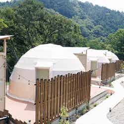 Morethann Paradise/提供画像