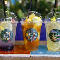 (左から)フラワーラベンダーレモネード、フレッシュフルーツティー、ボタニカル レモネード/画像提供:ポトマック