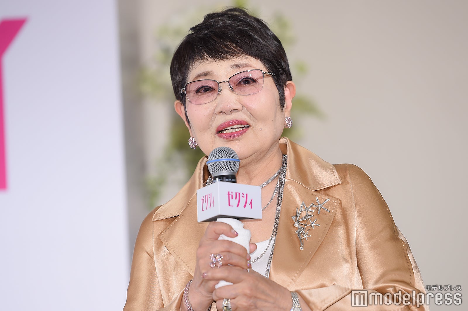 泉ピン子（C）モデルプレス