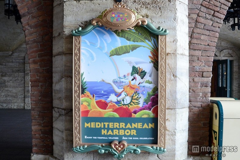 メディテレーニアンハーバーのポスター（デイジー）