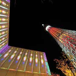 プロジェクションマッピングと東京スカイツリー限定ライティング(昨年の様子)(C)TOKYO-SKYTREETOWN