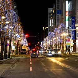 さっぽろホワイトイルミネーション/提供画像