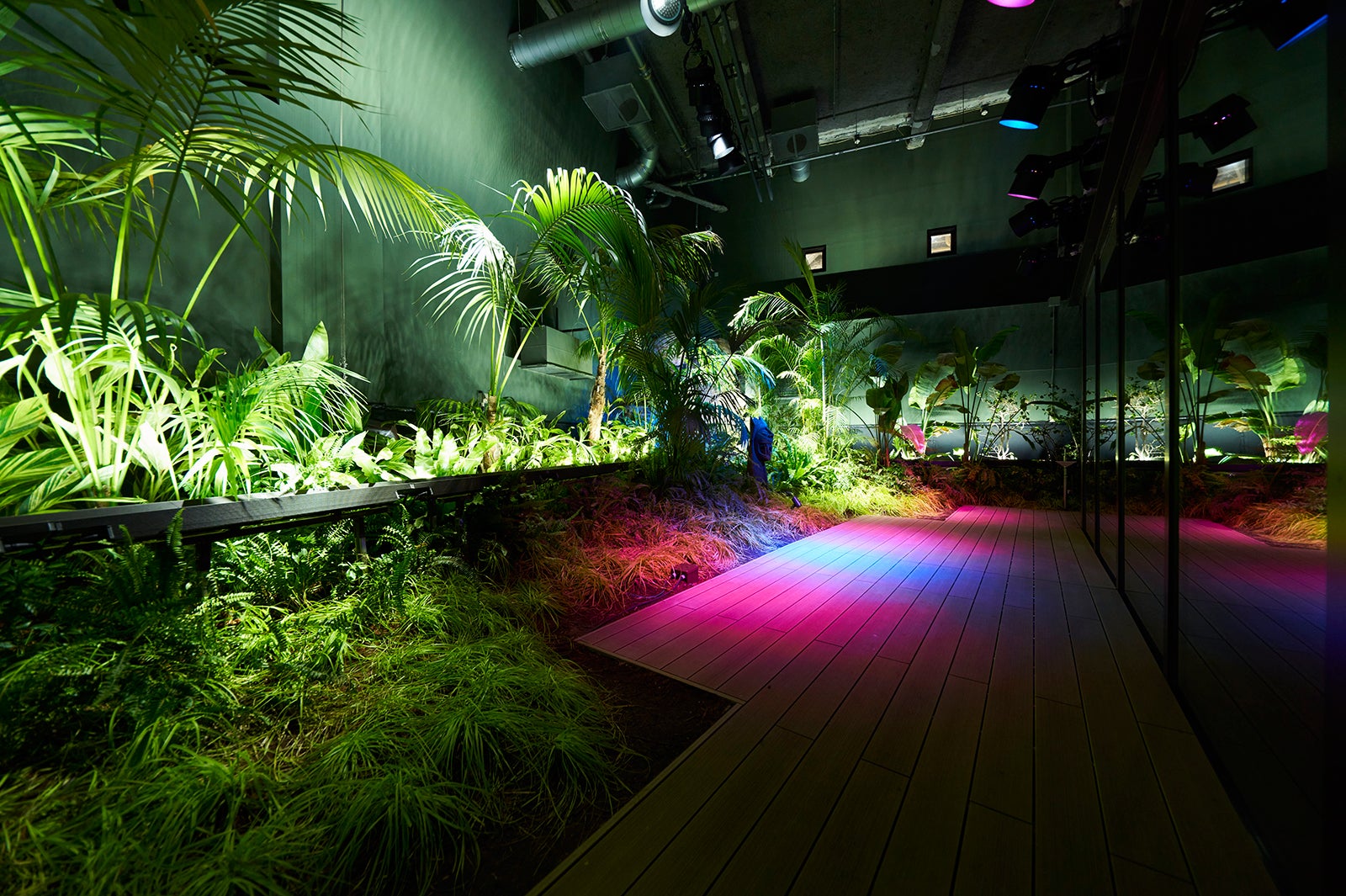 夜の「アマゾンデッキ」 ／画像提供：アクア・ライブ・インベストメント