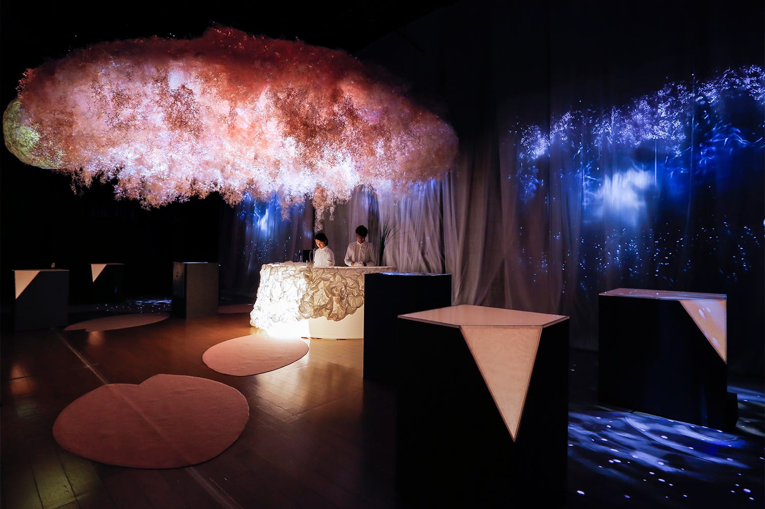 日本橋「FLOWERS by NAKED 2017」全貌公開 桜匂い立つアート空間に酔う