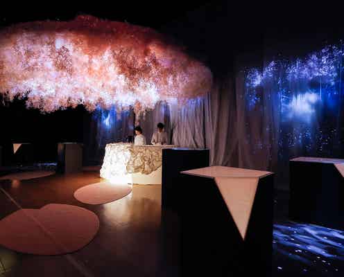 日本橋「FLOWERS by NAKED 2017」全貌公開 桜匂い立つアート空間に酔う