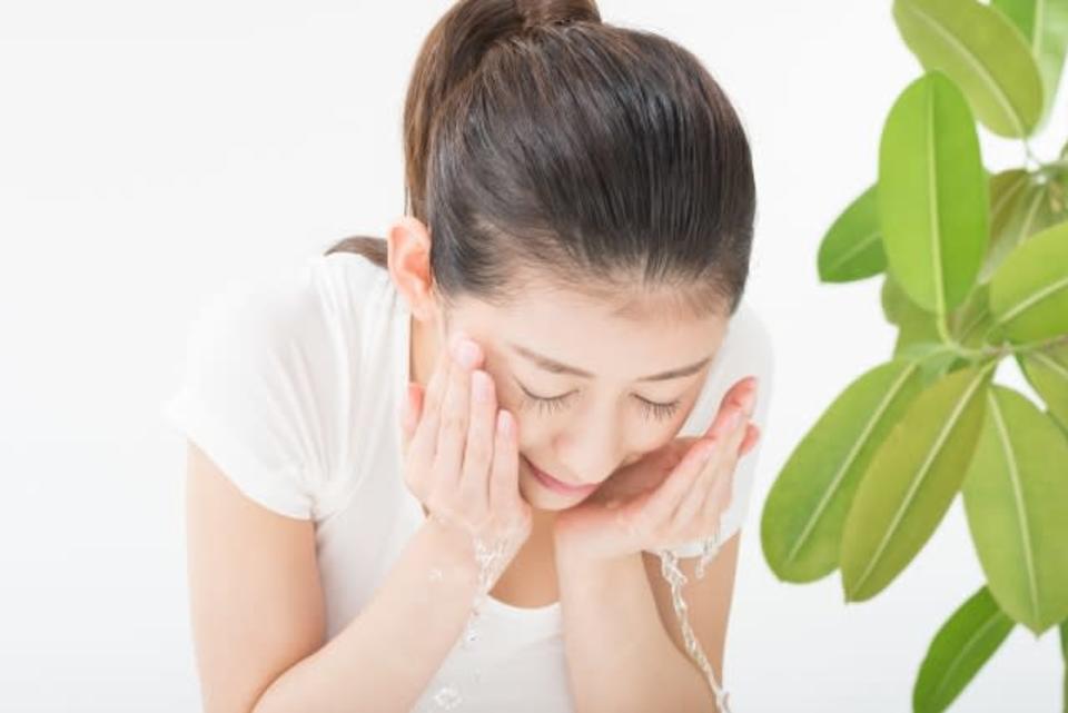 yuzu-collection-content-2851-1529393580.