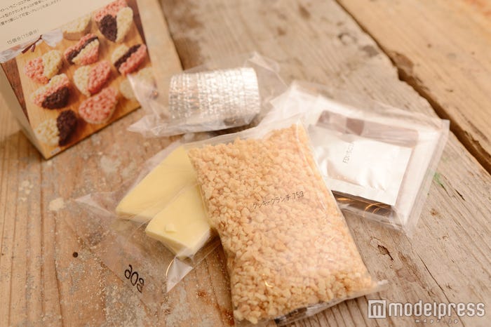 キットの中身(C)モデルプレス