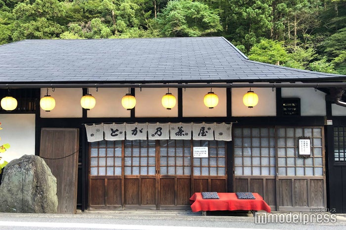 とが乃茶屋（C）ビューティーガール