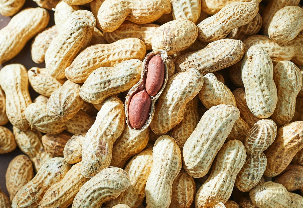 ドレ／画像提供：シュクレイ