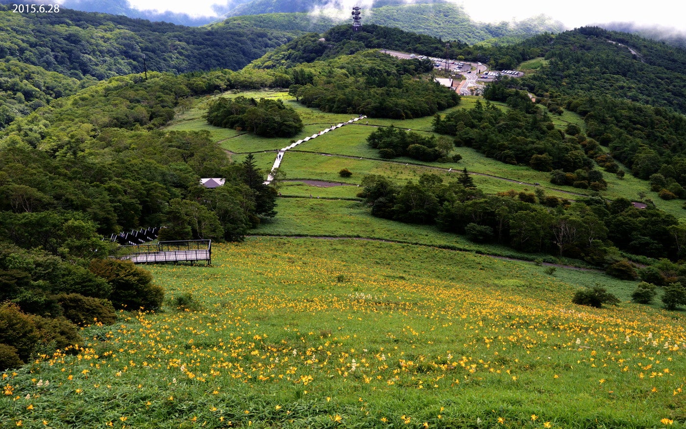 青々とした高原は気分爽快（提供画像）