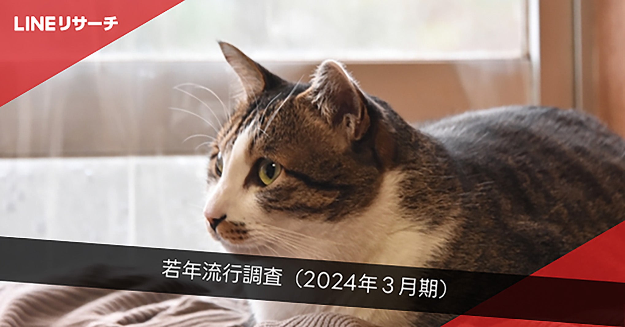 LINEリサーチ若年流行調査（2024年3月期）（提供写真）