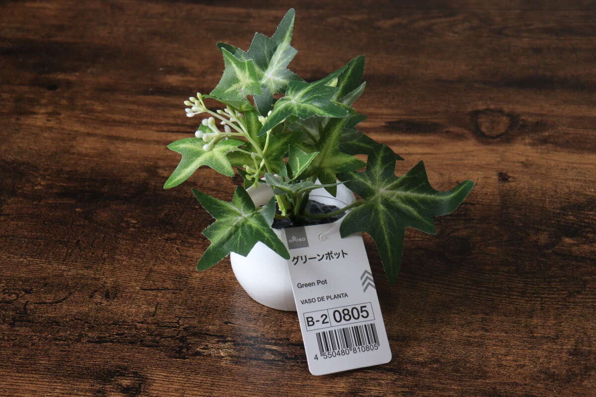 ダイソー　グリーンポット