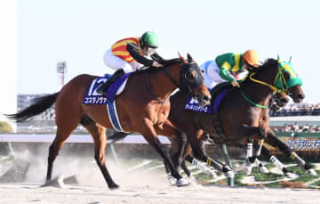 【フェブラリーS】2番人気のコスタノヴァが史上3頭目の連覇達成