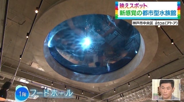 【もういった？】日本最大級の水槽!? 神戸に「劇場型水族館」がオープン♡